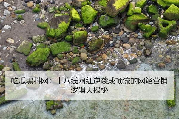 吃瓜黑料网：十八线网红逆袭成顶流的网络营销逻辑大揭秘